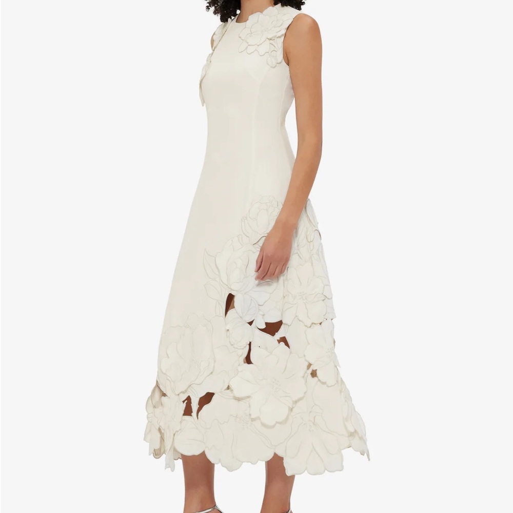 LEO LIN Cleo Appliqué Sleeveless Midi Dress - Picture 3 of 9